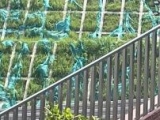 預防不鏽鋼護欄腐蝕的方法有(yǒu)哪些？