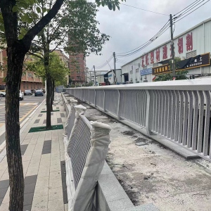 公(gōng)路護欄護欄定做